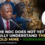 The NDC Does not yet fully understand the Gold Mine – Vormawor